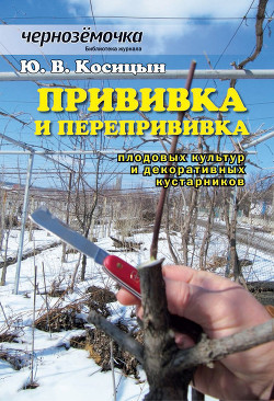 Книга Прививка и перепрививка плодовых культур и декоративных кустарников