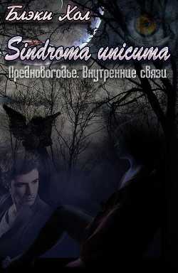 Книга Предновогодье. Внутренние связи (СИ)