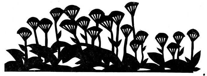 Каникулы кота Егора (с илл.) - image004.jpg