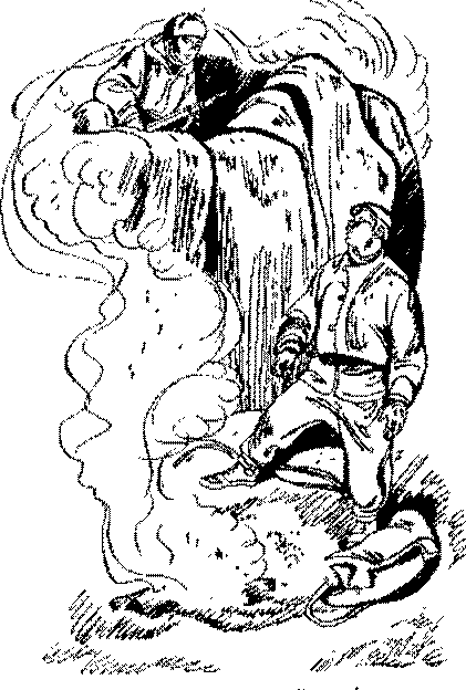 Песни черного дрозда (сборник) - pic_10.png