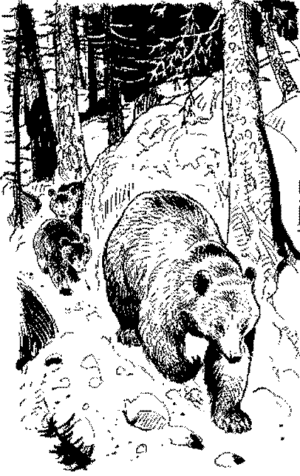 Песни черного дрозда (сборник) - pic_8.png