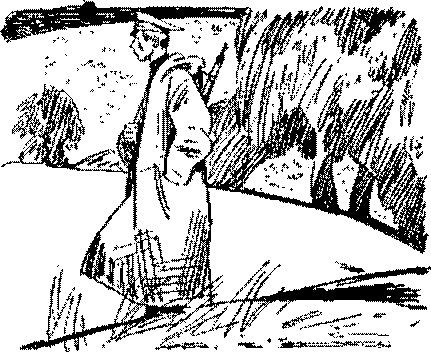 Песни черного дрозда (сборник) - pic_12.png