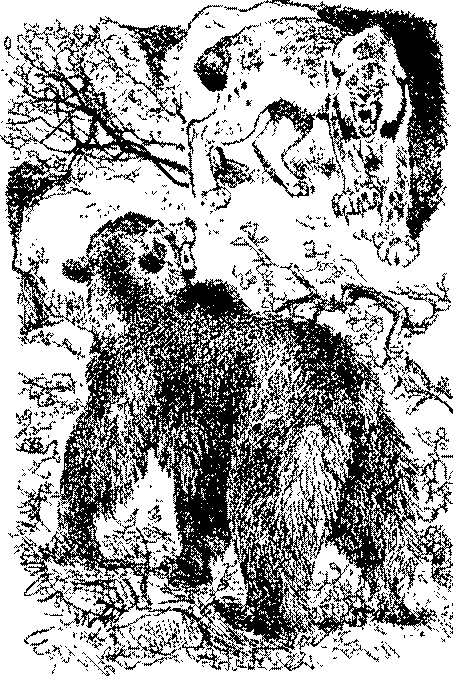 Песни черного дрозда (сборник) - pic_14.png