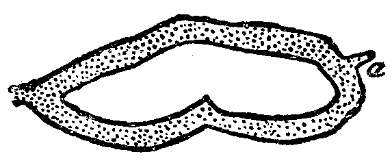 Стихотворения. Проза - id109004_any2fbimgloader2.png