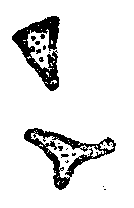 Стихотворения. Проза - id109004_any2fbimgloader4.png