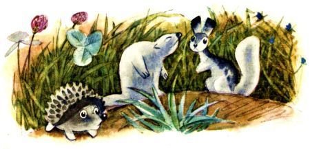 Ситцевый разбойник - i_005.jpg