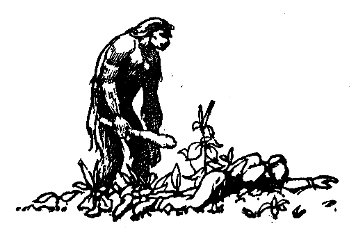 Черные звезды (сборник) - pic_14.png