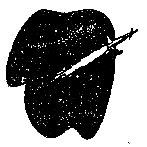 Черные звезды (сборник) - pic_7.png