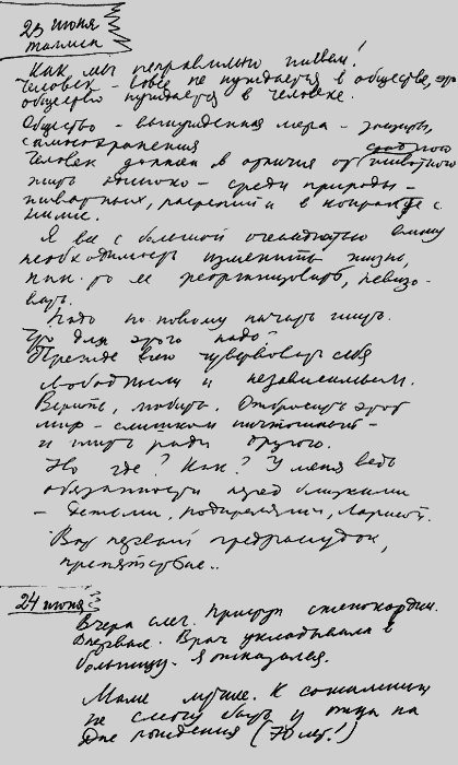 Мартиролог. Дневники - i_074.png