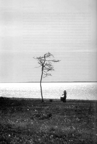 Мартиролог. Дневники - i_162.jpg