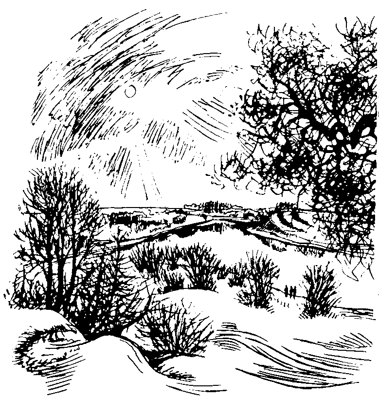 Белая западинка. Судьба степного орла - i_005.png