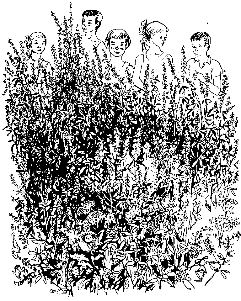 Белая западинка. Судьба степного орла - i_017.png