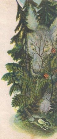 Сказка о страхе - img_4.jpg