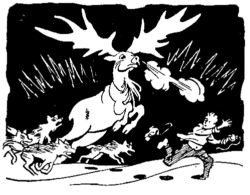 Необыкновенные приключения Геннадия Диогенова - pic_15.png