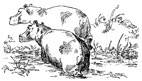 Берег черного дерева и слоновой кости (худ. С. Яровой) - pic_17.png