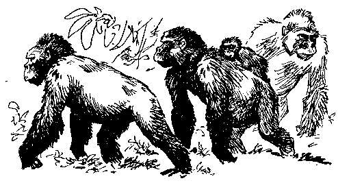 Берег черного дерева и слоновой кости (худ. С. Яровой) - pic_20.png