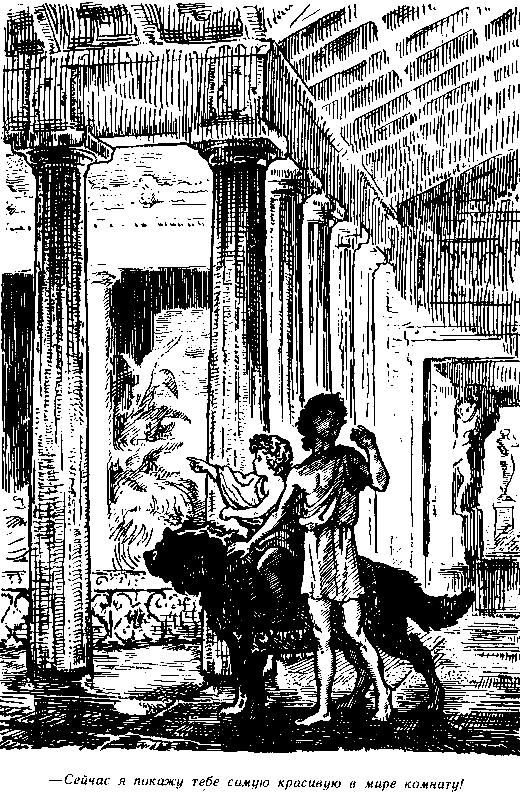 Приключения мальчика с собакой - pic_12.png