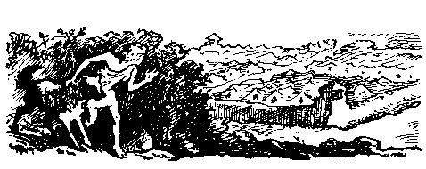 Приключения мальчика с собакой - pic_3.png