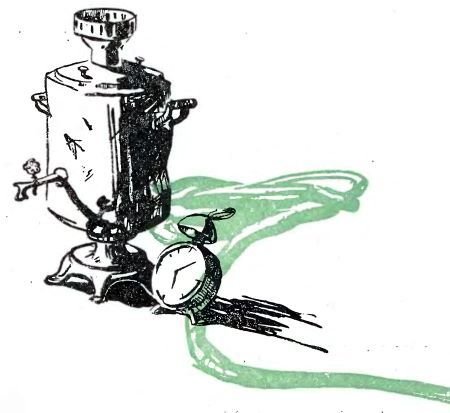 Полосатые чудаки - i_001.jpg