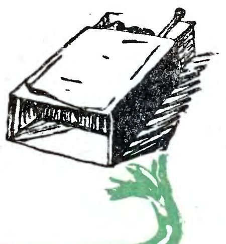 Полосатые чудаки - i_002.jpg