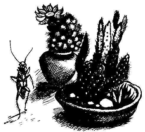 ЧАО — победитель волшебников (сборник) - pic_29.png