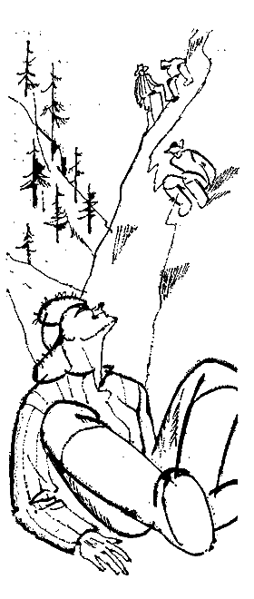 Рыжий черт - pic046.png