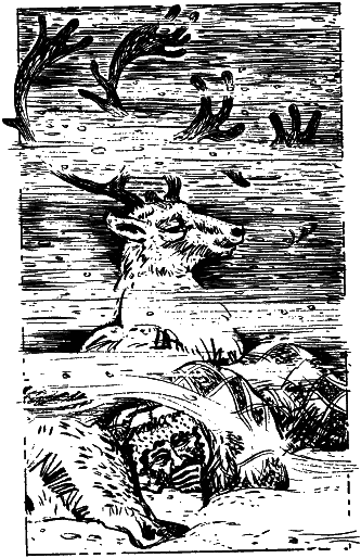 Последняя охота Серой Рыси - i_001.png