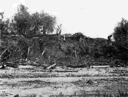 Мангазея - i_015.jpg