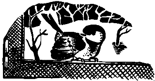 Операция «Муравей» - pic_2.png