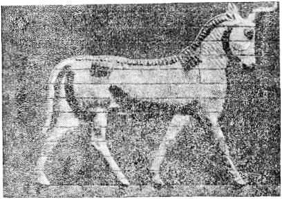 Древний Восток - i_059.jpg