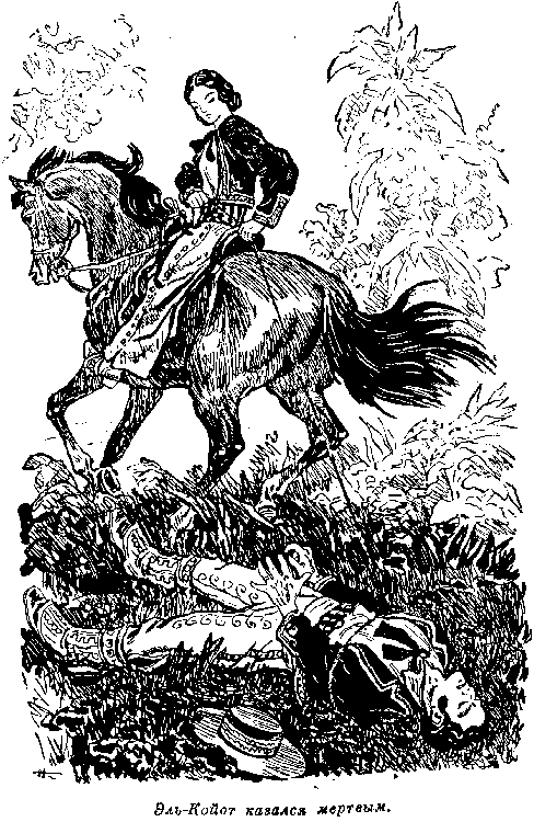 Всадник без головы (худ. Н. Качергин) - pic_16.png