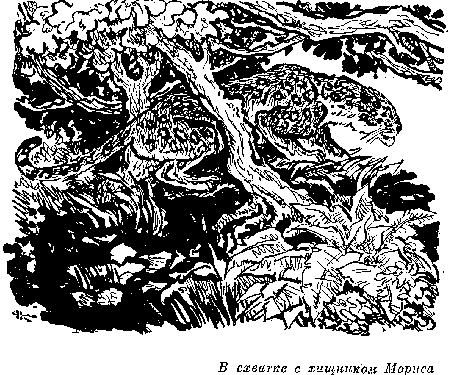 Всадник без головы (худ. Н. Качергин) - pic_17.png