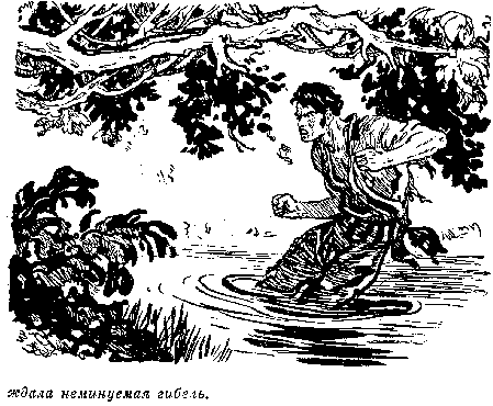 Всадник без головы (худ. Н. Качергин) - pic_18.png