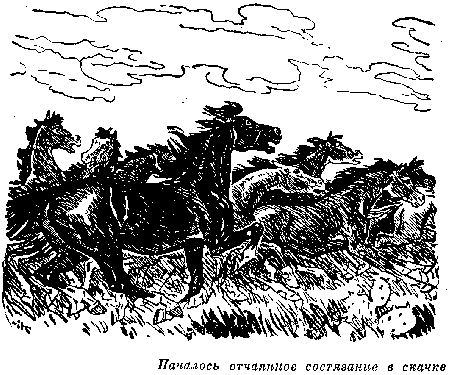 Всадник без головы (худ. Н. Качергин) - pic_8.png