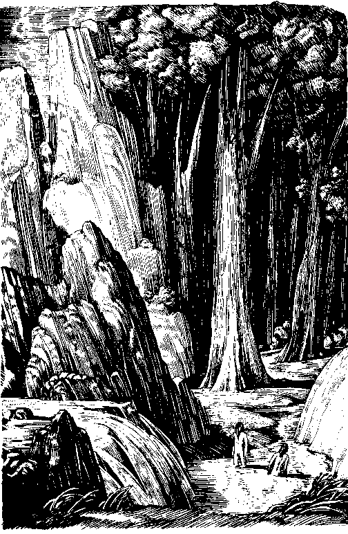 Топ и Гарри (Художник А. Громов) - pic_8.png