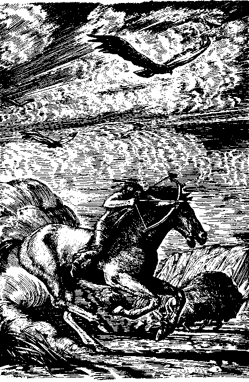 Топ и Гарри (Художник А. Громов) - pic_9.png