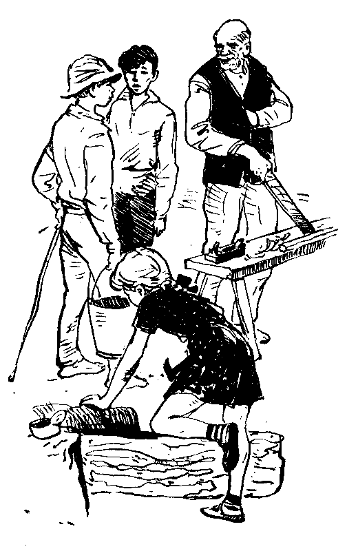 Приключение в «Зеленом береге» - pic_11.png