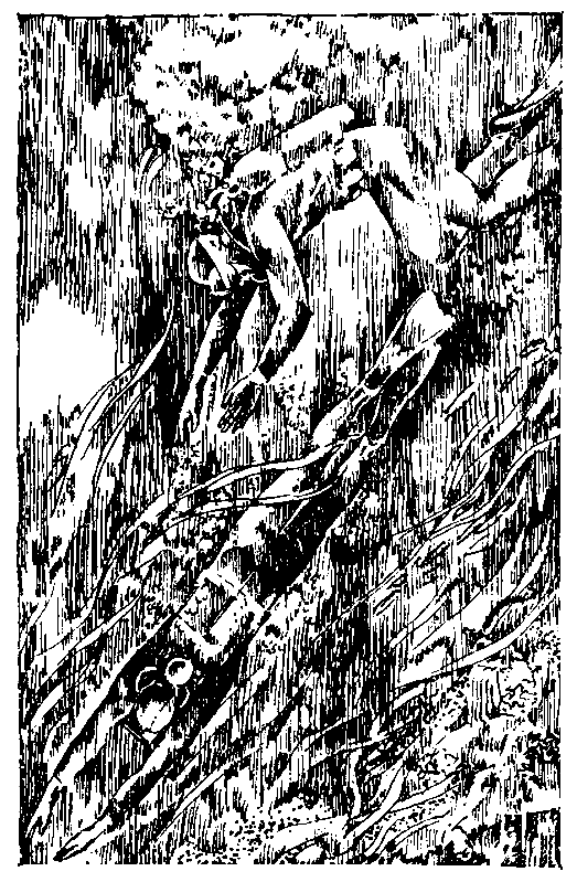 Секретный фарватер (илл. Г. Яковлева) - pic_14.png