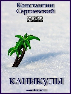 Читать онлайн книгу Каникулы (СИ) автор Сергиевский Константин Книга Каникулы (СИ)