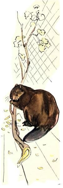 Голубой дымок вигвама - i_004.jpg