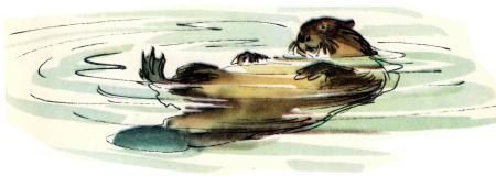 Голубой дымок вигвама - i_020.jpg