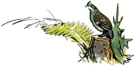 Голубой дымок вигвама - i_022.jpg