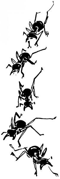 Голубой дымок вигвама - i_023.jpg