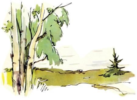 Голубой дымок вигвама - i_025.jpg