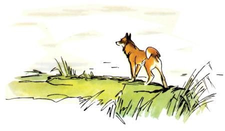 Голубой дымок вигвама - i_026.jpg