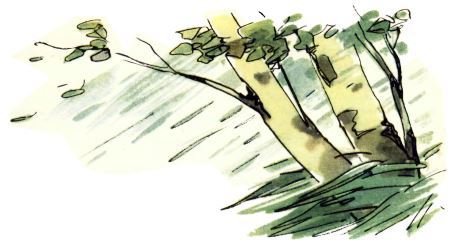 Голубой дымок вигвама - i_028.jpg