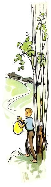 Голубой дымок вигвама - i_038.jpg