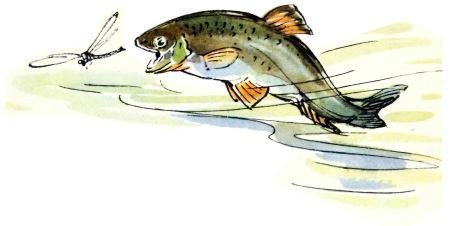 Голубой дымок вигвама - i_042.jpg