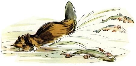 Голубой дымок вигвама - i_043.jpg