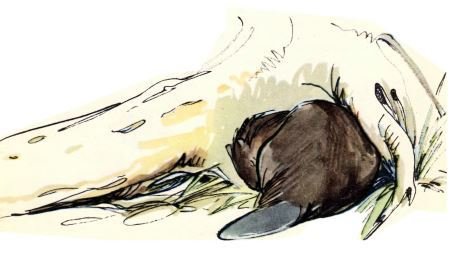 Голубой дымок вигвама - i_049.jpg